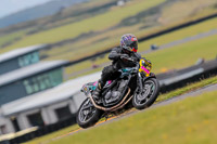 PJ-Motorsport-2019;anglesey-no-limits-trackday;anglesey-photographs;anglesey-trackday-photographs;enduro-digital-images;event-digital-images;eventdigitalimages;no-limits-trackdays;peter-wileman-photography;racing-digital-images;trac-mon;trackday-digital-images;trackday-photos;ty-croes